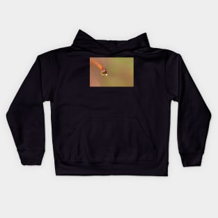 Water droplet on a twig Kids Hoodie